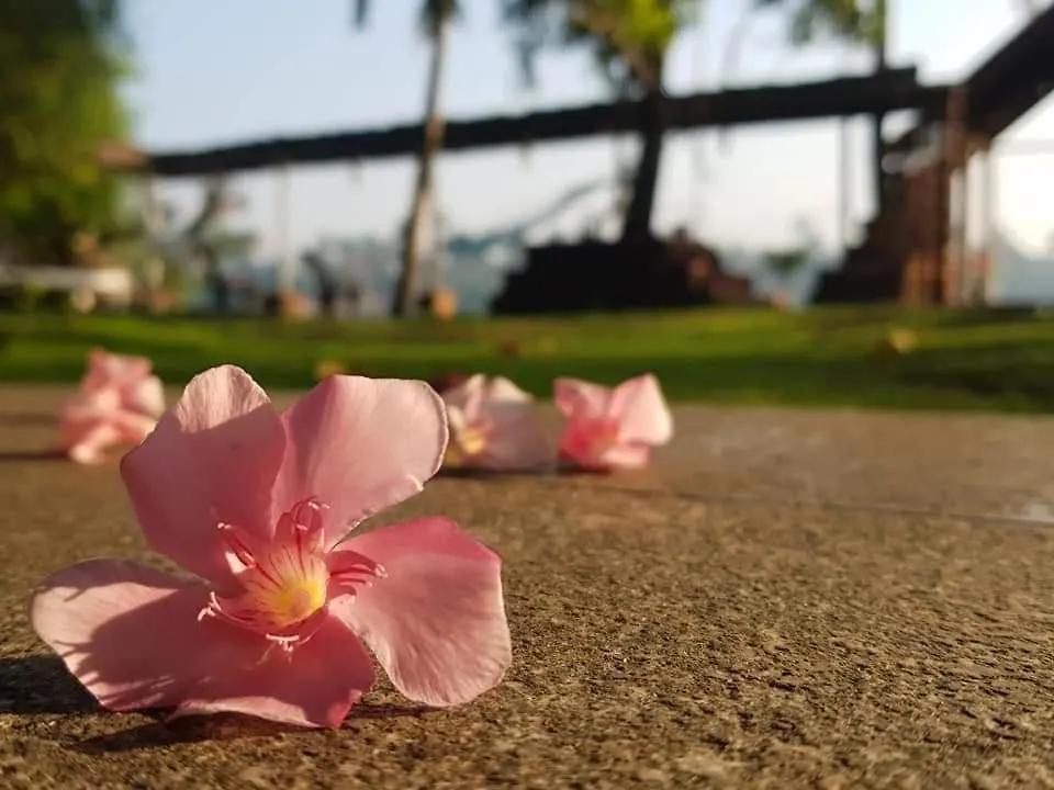 Bed & Breakfast Ambadis Villas Kochi